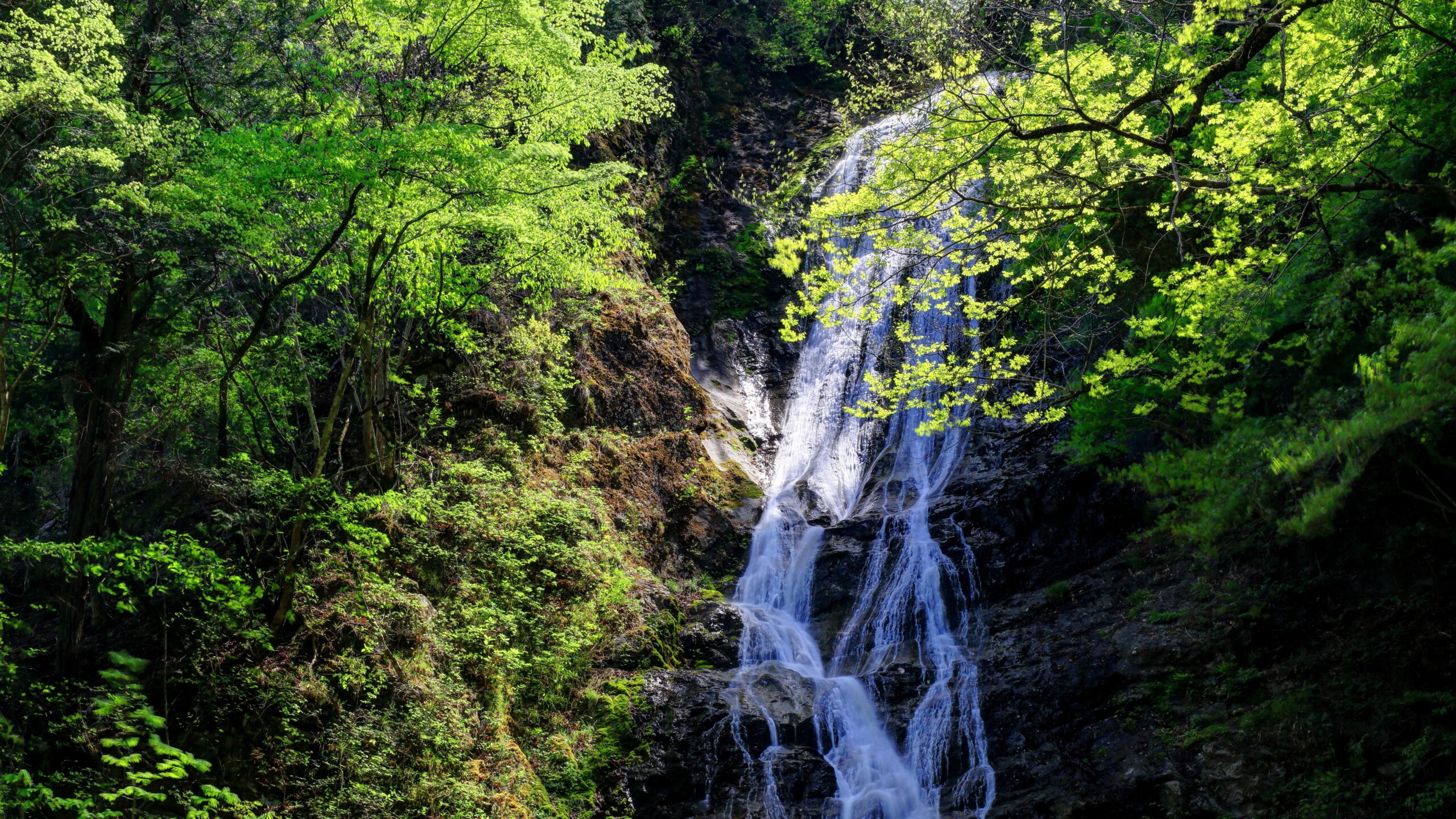 秩父郡小鹿野町の丸神の滝